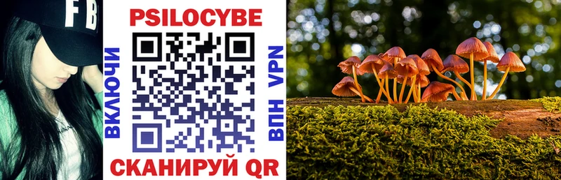 Псилоцибиновые грибы Psilocybine cubensis Монино